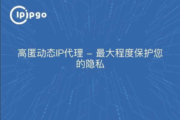 高匿动态IP代理 - 最大程度保护您的隐私