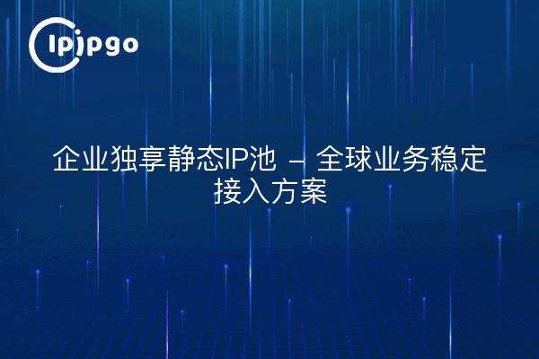 企业独享静态IP池 - 全球业务稳定接入方案