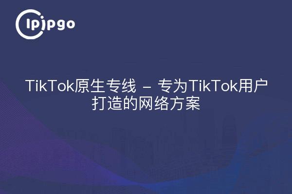 TikTok原生专线 - 专为TikTok用户打造的网络方案