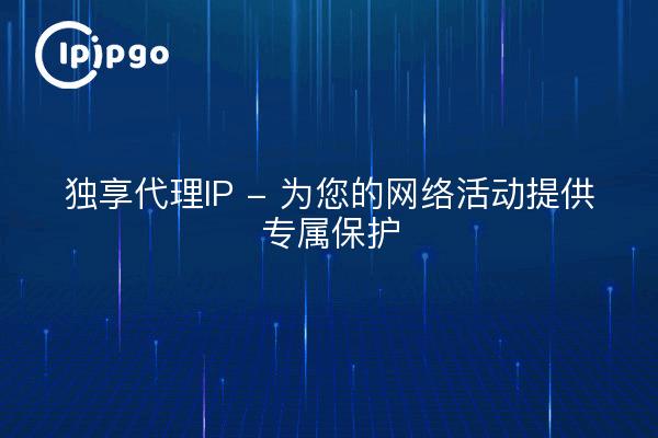 独享代理IP - 为您的网络活动提供专属保护