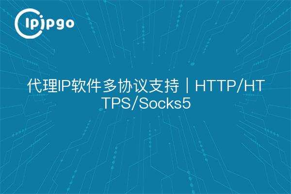 代理IP软件多协议支持｜HTTP/HTTPS/Socks5