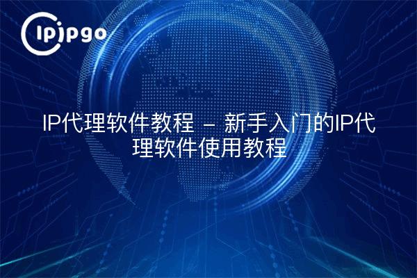 IP代理软件教程 - 新手入门的IP代理软件使用教程