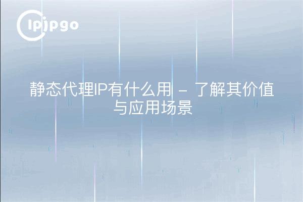 静态代理IP有什么用 - 了解其价值与应用场景