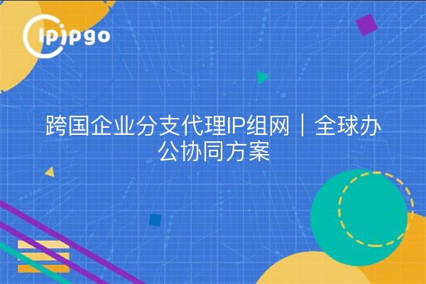 跨国企业分支代理IP组网｜全球办公协同方案