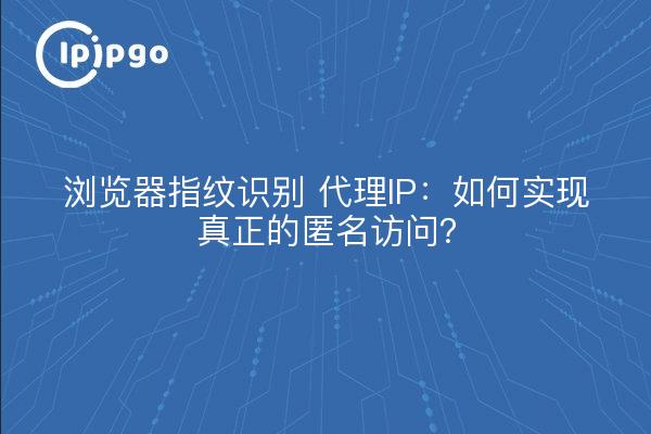 浏览器指纹识别 代理IP：如何实现真正的匿名访问？