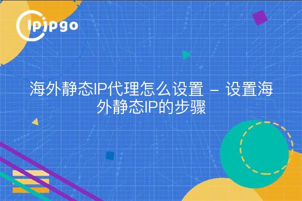 海外静态IP代理怎么设置 - 设置海外静态IP的步骤