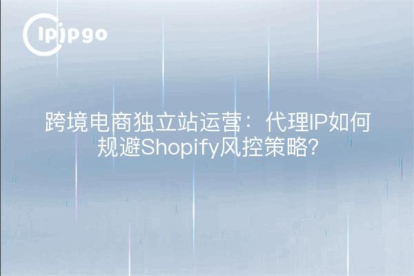 Comercio electrónico transfronterizo funcionamiento independiente de la estación: agente IP ¿cómo evitar Shopify estrategia de control de viento?