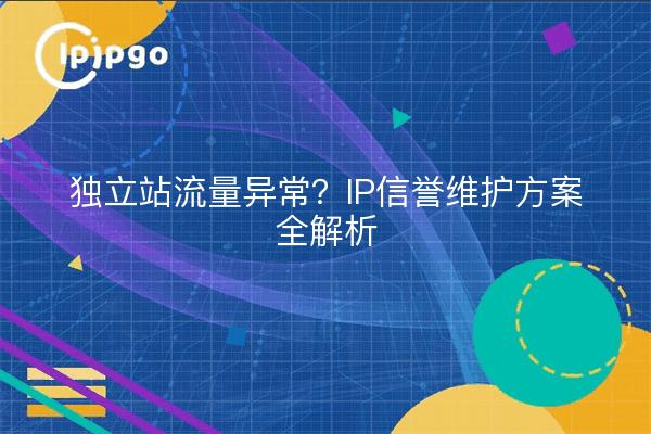 独立站流量异常？IP信誉维护方案全解析