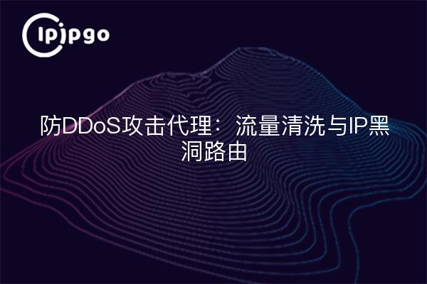 防DDoS攻击代理：流量清洗与IP黑洞路由