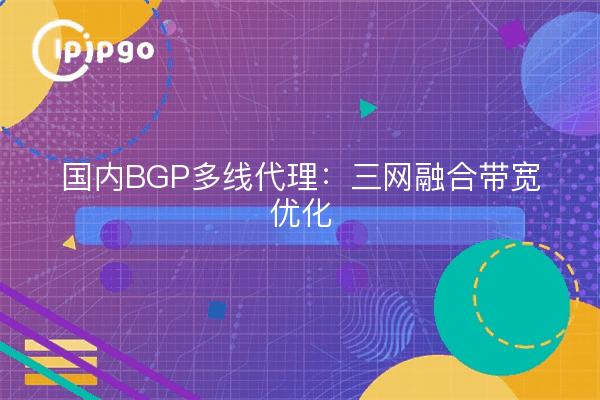 Domestic BGP Multi-Line Proxy: Optimizing Bandwidth for Three Networks Convergence