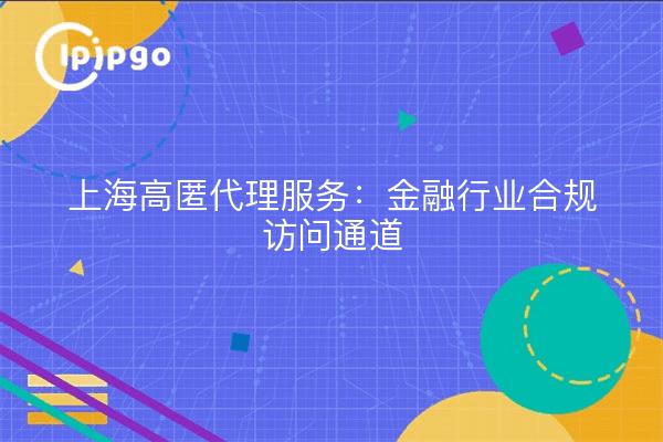 上海高匿代理服务：金融行业合规访问通道