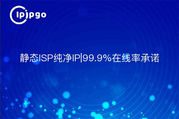 静态ISP纯净IP|99.9%在线率承诺