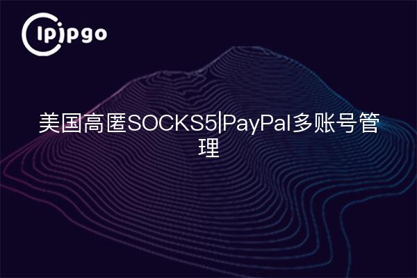 美国高匿SOCKS5|PayPal多账号管理