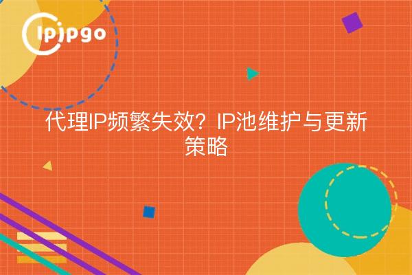 代理IP频繁失效？IP池维护与更新策略