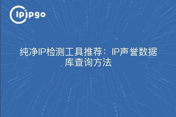 纯净IP检测工具推荐：IP声誉数据库查询方法