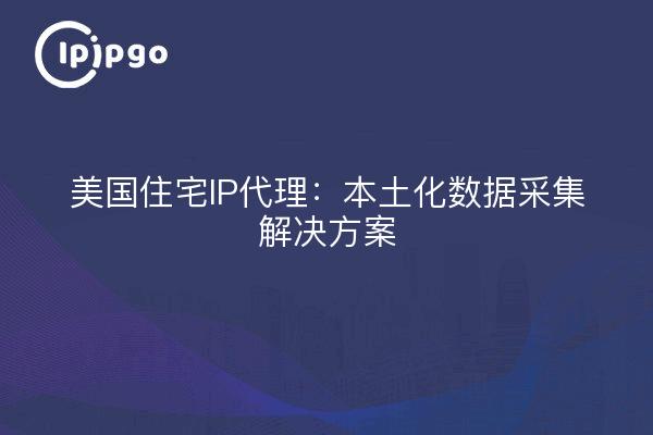 美国住宅IP代理：本土化数据采集解决方案