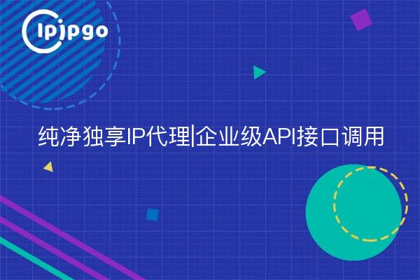 纯净独享IP代理|企业级API接口调用