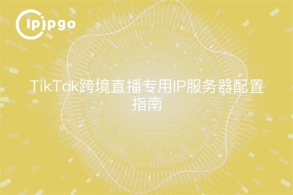 TikTok跨境直播专用IP服务器配置指南