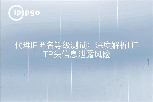 代理IP匿名等级测试：深度解析HTTP头信息泄露风险