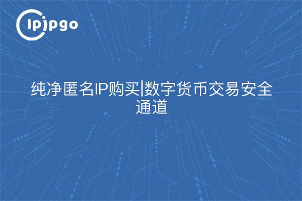 纯净匿名IP购买|数字货币交易安全通道