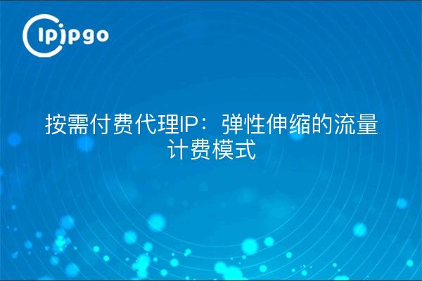 按需付费代理IP：弹性伸缩的流量计费模式