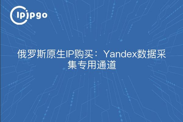 Russian native IP purchase: dedicated channel for Yandex data collection