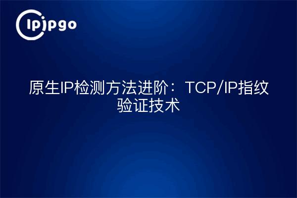 原生IP检测方法进阶：TCP/IP指纹验证技术