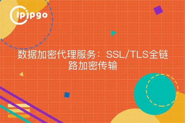 数据加密代理服务：SSL/TLS全链路加密传输