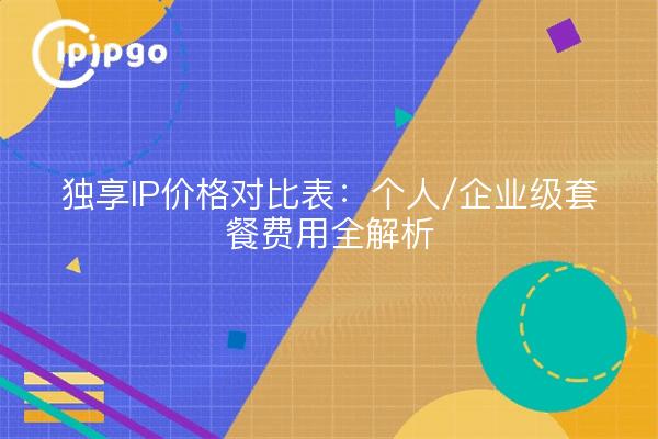 独享IP价格对比表：个人/企业级套餐费用全解析