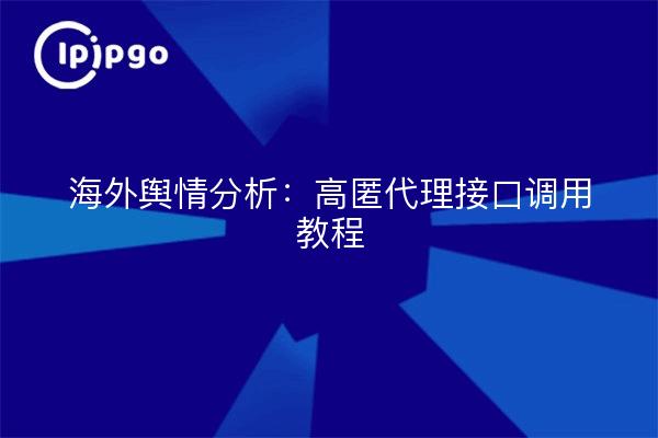 海外舆情分析：高匿代理接口调用教程