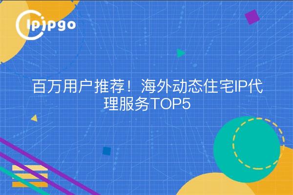 Recomendado por millones de usuarios Servicio de proxy IP dinámico residencial en el extranjero TOP5