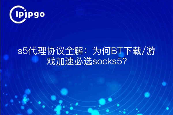 s5代理协议全解：为何BT下载/游戏加速必选socks5？