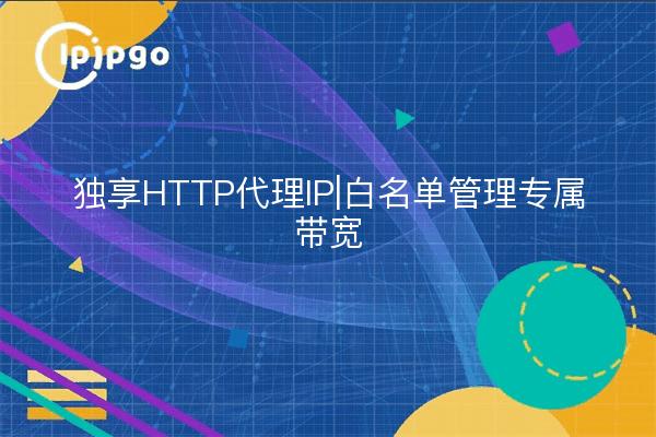 独享HTTP代理IP|白名单管理专属带宽