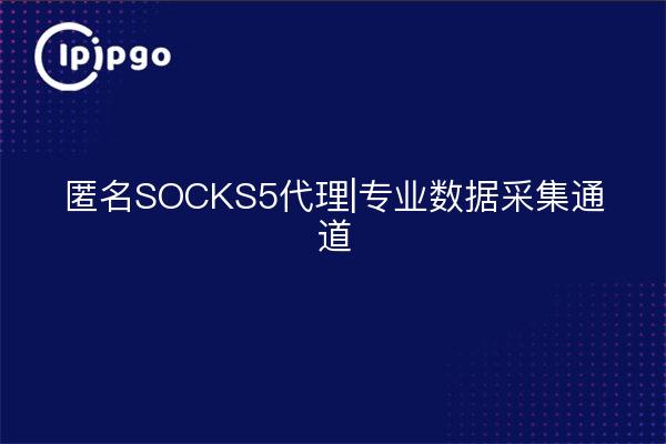 匿名SOCKS5代理|专业数据采集通道