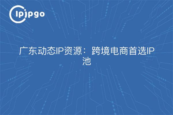 Recursos dinámicos de IP de Guangdong: la reserva de IP preferida para el comercio electrónico transfronterizo