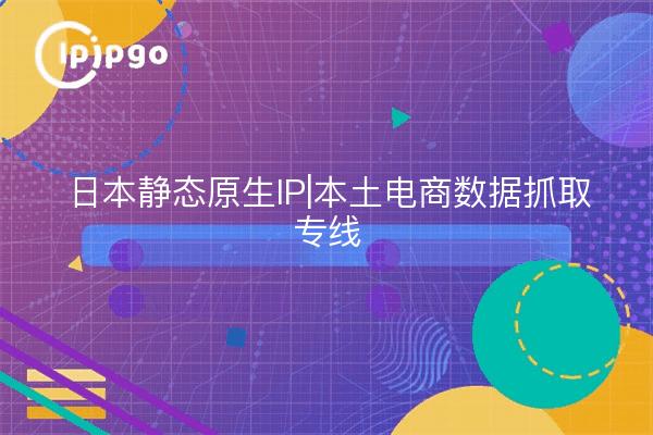 Japon IP statique natif | ligne spécialisée pour la saisie des données du commerce électronique local