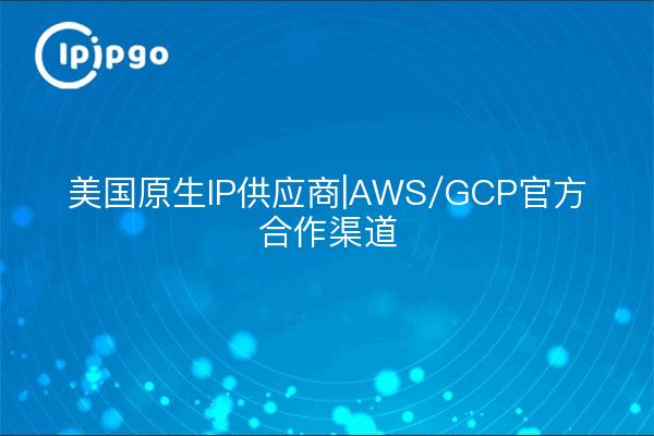 美国原生IP供应商|AWS/GCP官方合作渠道