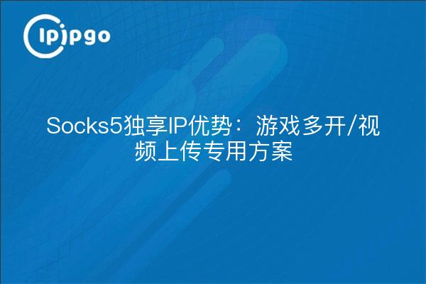 Socks5独享IP优势：游戏多开/视频上传专用方案