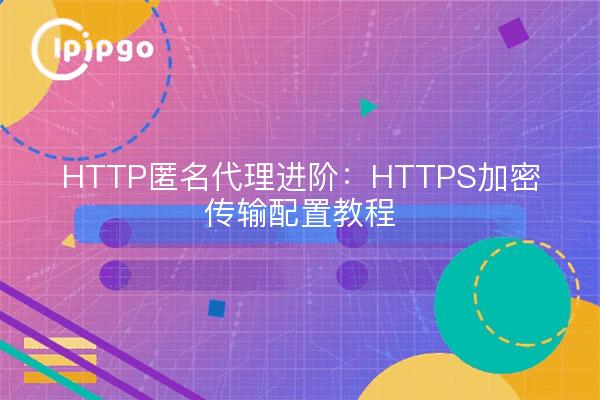 HTTP匿名代理进阶：HTTPS加密传输配置教程